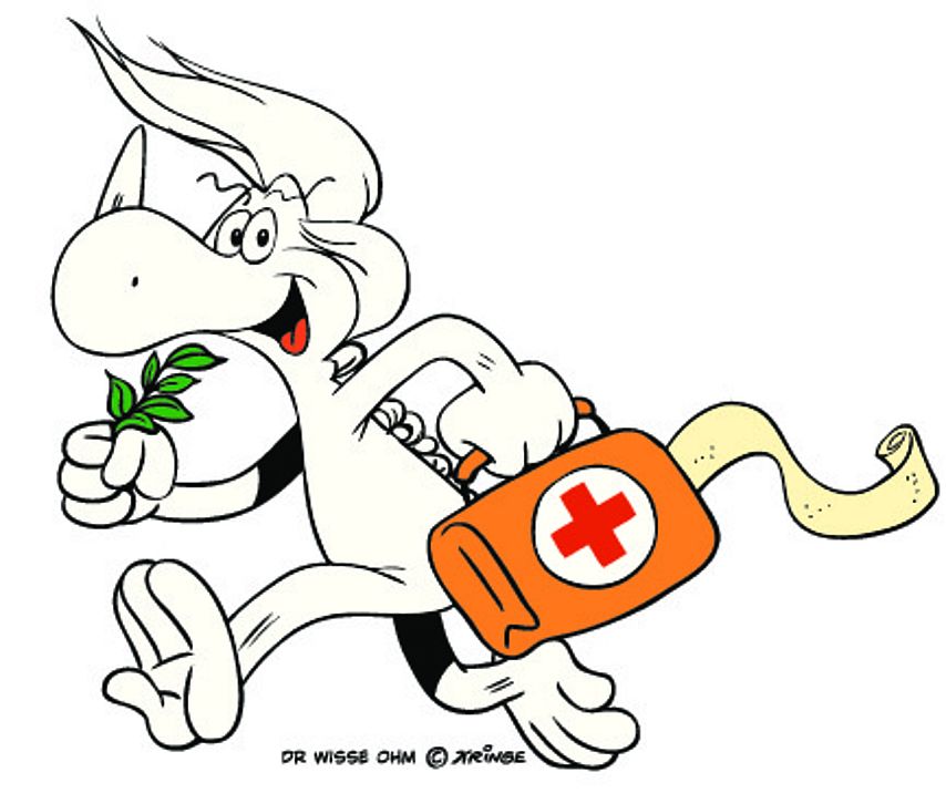 Der Dilldappe namens Der Wisse Ohm schaut freundlich und trägt Heilkräuter und einen Erste Hilfe Koffer mit sich.